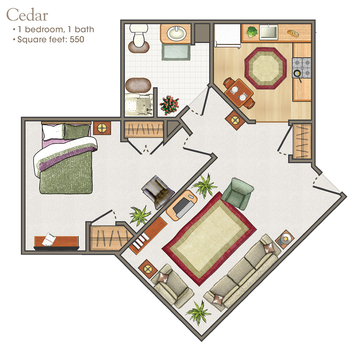 Cedar