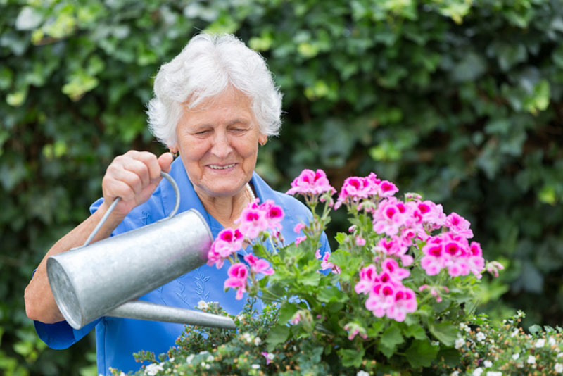 Memory Care