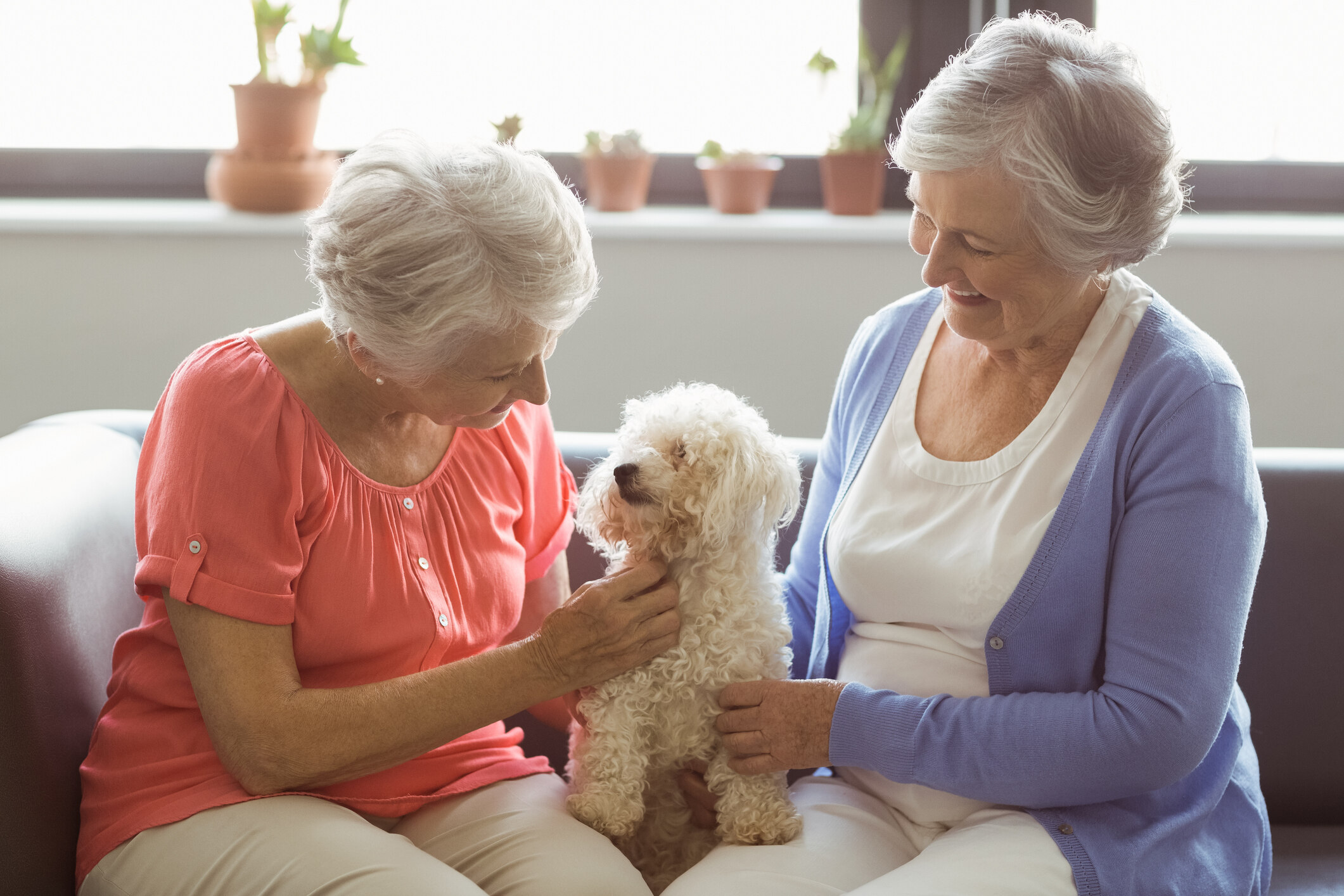 two women with a dog